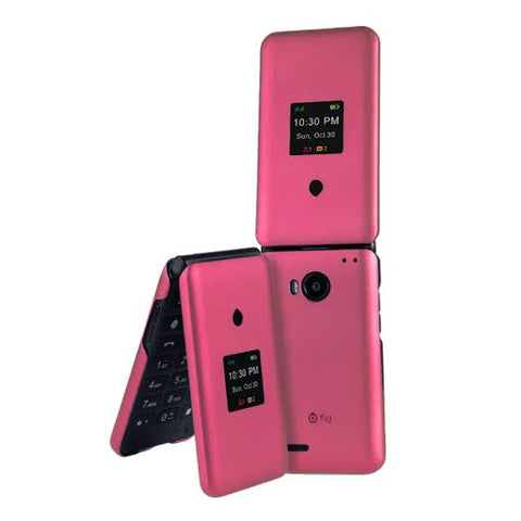 נרתיק עבור Fig Flip 2
